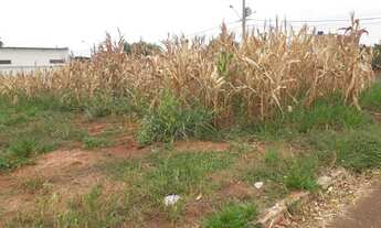 Imagem 3: Terreno Jardim Bela Vista Ouroeste