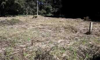 Imagem 4: Terreno - Bairro Parque das Hortênsias