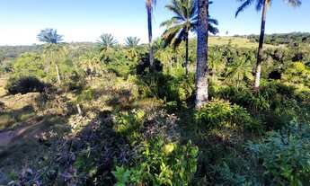 Imagem 6: Vendo fazendinha em Valença Bahia