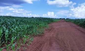 Imagem 3: Fazenda 5.700 alq em deciolandia x Diamantino MT. 3.680 plantando