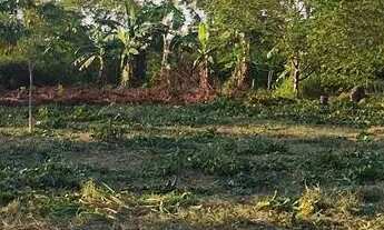 Imagem 5: Terreno sítio Chácara com venda por R$130.000