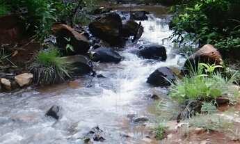 Imagem 6: Fazenda em Barro Alto (anúncio direto do proprietário
