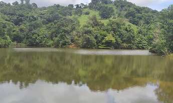 Imagem 5: Fazenda Cultura 61 Alqueires - Itapuranga-Go