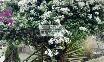 Imagem 6: TR_Imóvel a venda possui 200 metros quadrados com 5 quartos em Previdenciários - Juiz de F