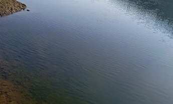 Imagem 7: Excelente oportunidade. Vendo chácara valor 680,000