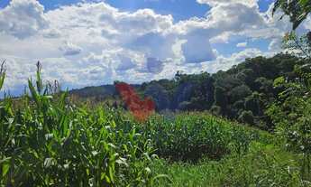 Imagem 4: Área de 36.400m para chácara com bosque e córrego em Catanduvas do Sul