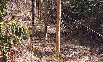 Imagem 5: Chácara terreno 8000m² trevo SJLAGOA