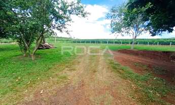 Imagem 5: Aluguel de sítio rural em Bonfim Paulista, com 4 dormitórios e 3 banheiros!