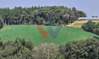 Imagem 7: Área de 20.000 m para Chácara Próxima a Araucária Ótima Oportunidade