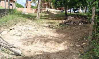Imagem 2: Vende-se Sitio em Conde Bahia