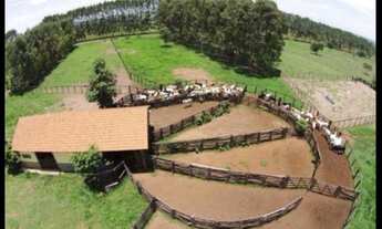 Imagem: 302 alqueires em Serranópolis-GO