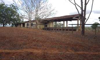 Imagem 2: Excelente sítio em Feira Nova/PE