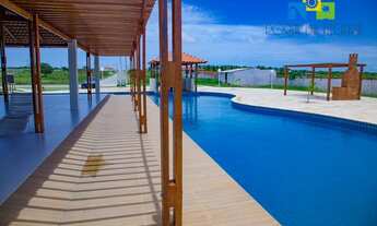 Imagem: PORTAL DAS FLECHEIRAS