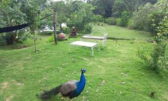 Imagem 5: VENDO CHACARA URBANA NO CENTRO DE MORRINHOS RICA EM ÁGUA QUASE 5 MIL METROS ESCRITURADA
