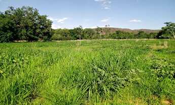 Imagem 4: Fazenda Alto Gurguéia