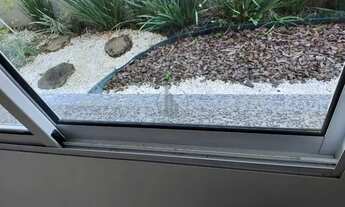 Imagem 5: Aluga-se Apto na Vila Prudente · 33 m²