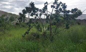 Imagem 2: Terreno à venda, 438 m² por R$ 290.000 - Vila Olimpia - Taubaté/SP