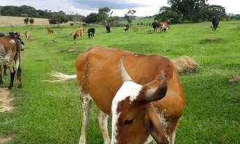 Imagem 3: Terremo 1.700m² em Bonfim no Residencial Campestre de Cima