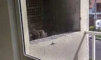 Imagem 5: Aluguel de apartamento Curitiba