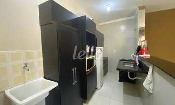 Imagem 4: São Paulo - Apartamento Padrão - Tucuruvi