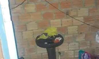 Imagem 6: Vende se casa no bairro cristal