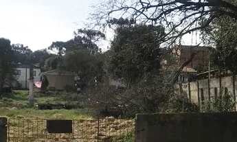 Imagem 2: Vendo Lote/terreno 60x13 (780 m2) Centro de Prudentópolis