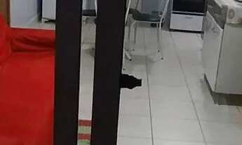 Imagem 2: Alugo | Ideal Torquato | Mobiliado