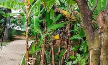 Imagem 4: Maravilhoso Apartamento