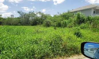 Imagem 4: BARBADA - Lote na NOVA PALHOÇA