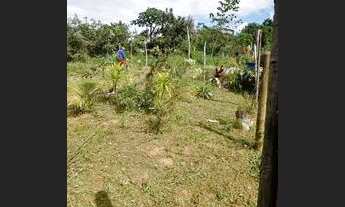 Imagem 2: Vende-se lote plano em Monte Gordo. No precinho R$50.000