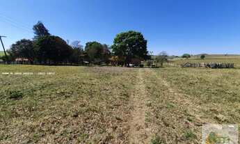 Imagem 4: Lindo Sítio de 08 Alqueires em Piracicaba, com casa, tanque e etc