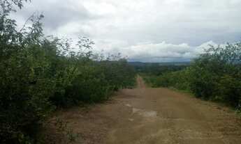 Imagem 3: Terreno perto do Rio São Francisco