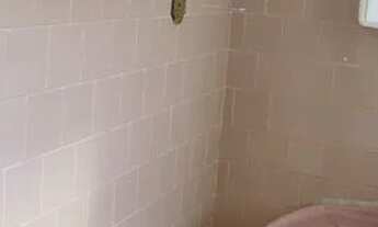 Imagem 7: JKZÃO Menino Deus