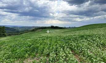 Imagem 5: BARROS CASSAL - Terreno Padrão - CHÁCARA