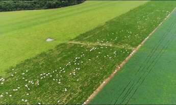Imagem 7: Fazenda em Lavoura Porto dos Gaúchos MT