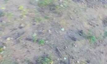 Imagem 7: Chácara próx de feira