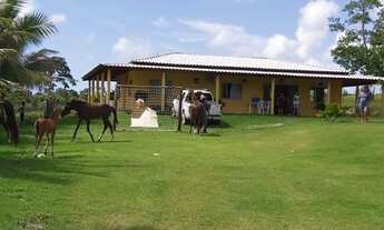 Imagem: Sítio para Venda em Camaçari, Barra do