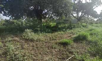 Imagem 3: Sitio em inhambupe 7 tarefa escriturado!