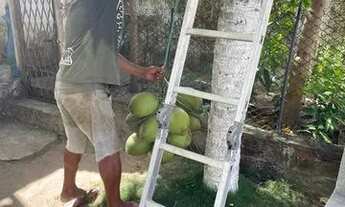 Imagem 3: Chácara Chácara com venda por R$350.000