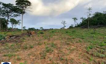 Imagem 5: Fazenda à Venda em Piranhas (GO) 79 Alqueires