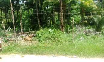 Imagem: Lote/ terreno / Taperoa bahia