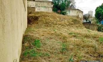 Imagem 7: TERRENO - JARDIM VILA ROSA - SP