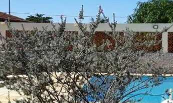 Imagem 7: Ano novo Araruama/ Coqueiral/Rua asfaltada