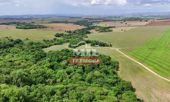 Imagem 7: Chácara 8.10 Alqueires (39.20 Hectares) Edealina - GO