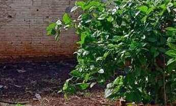 Imagem 7: Casa com 2 dormitórios à venda, 50 m² por R$ 170.000,00 - Conjunto Floresta - Sarandi/PR