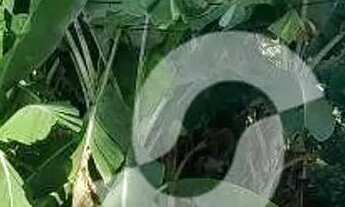 Imagem 2: TERRENO EM SÃO FRANCISCO