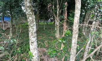 Imagem 3: Terreno à venda em Gramado - Pronto para construir!