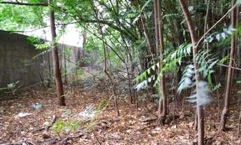 Imagem 2: Excelente terreno plano em localização privilegiada na Lagoa Redonda