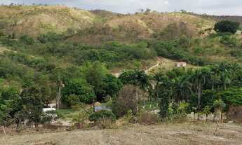 Imagem 2: Chácara de 40 mil metros na Ceilândia