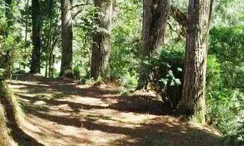 Imagem 4: Terreno Comercial para Venda em Nova Friburgo, Mury, 1 dormitório, 1 banheiro, 3 vagas